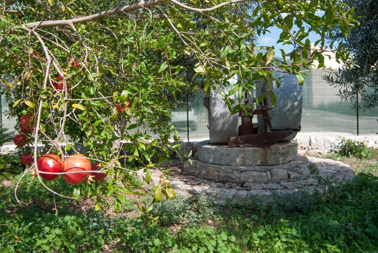 Agriturismo Al Casale Donnafugata Dış mekan fotoğraf